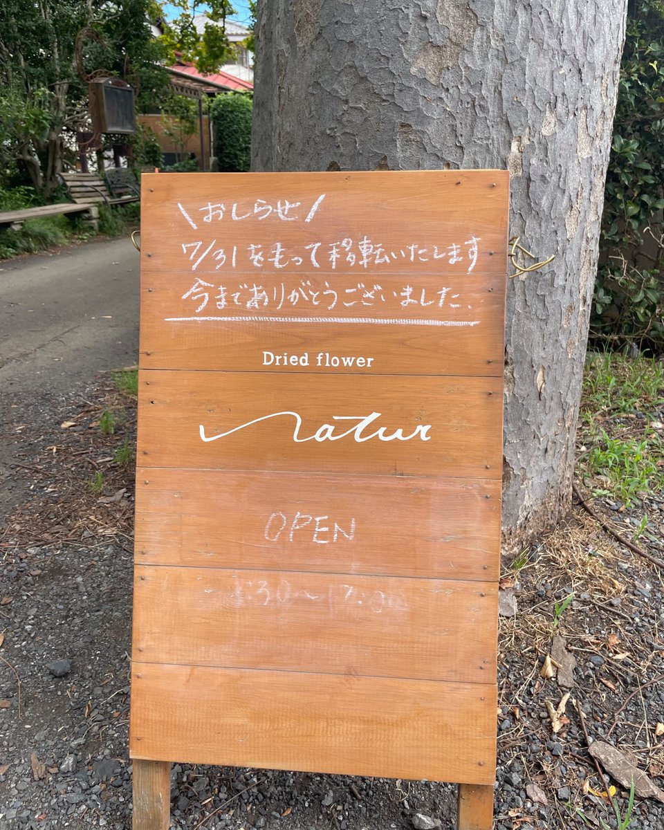 fuyu_fuhin's tweet photo. 今日はママチャリでこちらのドライフラワーのお店に行って来ました💐
木陰の道を選んで行ったので気持ちのいいサイクリングになりました🌳🚲🌳
素敵なお店なので移転後もぜひ訪れたいと思います♪
#Dried flower natur https://t.co/MhaiXsnzEa