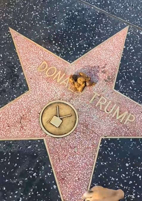 Den_O1_'s tweet photo. This is so genny!

I just found this mega viral tiktok about a dog that shits on Trumps Hollywood star,  

2 Million Likes in only 1 Day,

At the end of the video the guy calls the dog Bean, this is a PvE runner. https://t.co/R8WcH9jviq