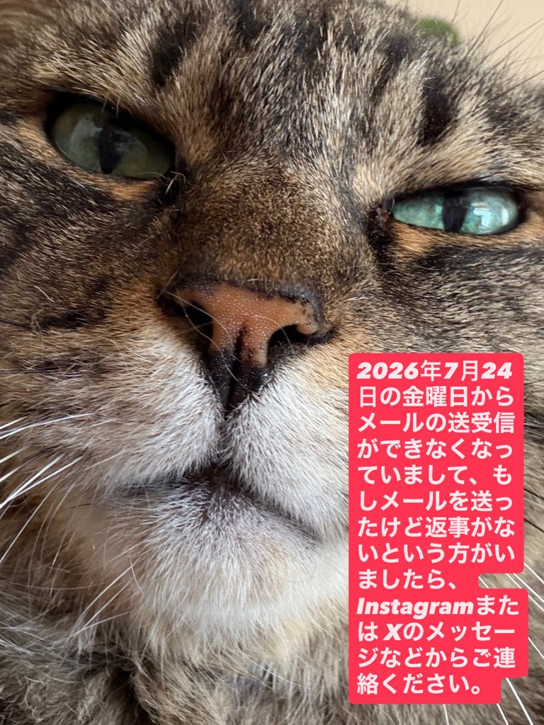 mohio10's tweet photo. 利用しているスマイルサーバになにやら外部からの不正アクセスの痕跡が確認されたとのことで、24日金曜日からメールの送受信ができません。必要な方がいましたらメッセージなどでご連絡ください。 https://t.co/cu6Cr2MZDZ