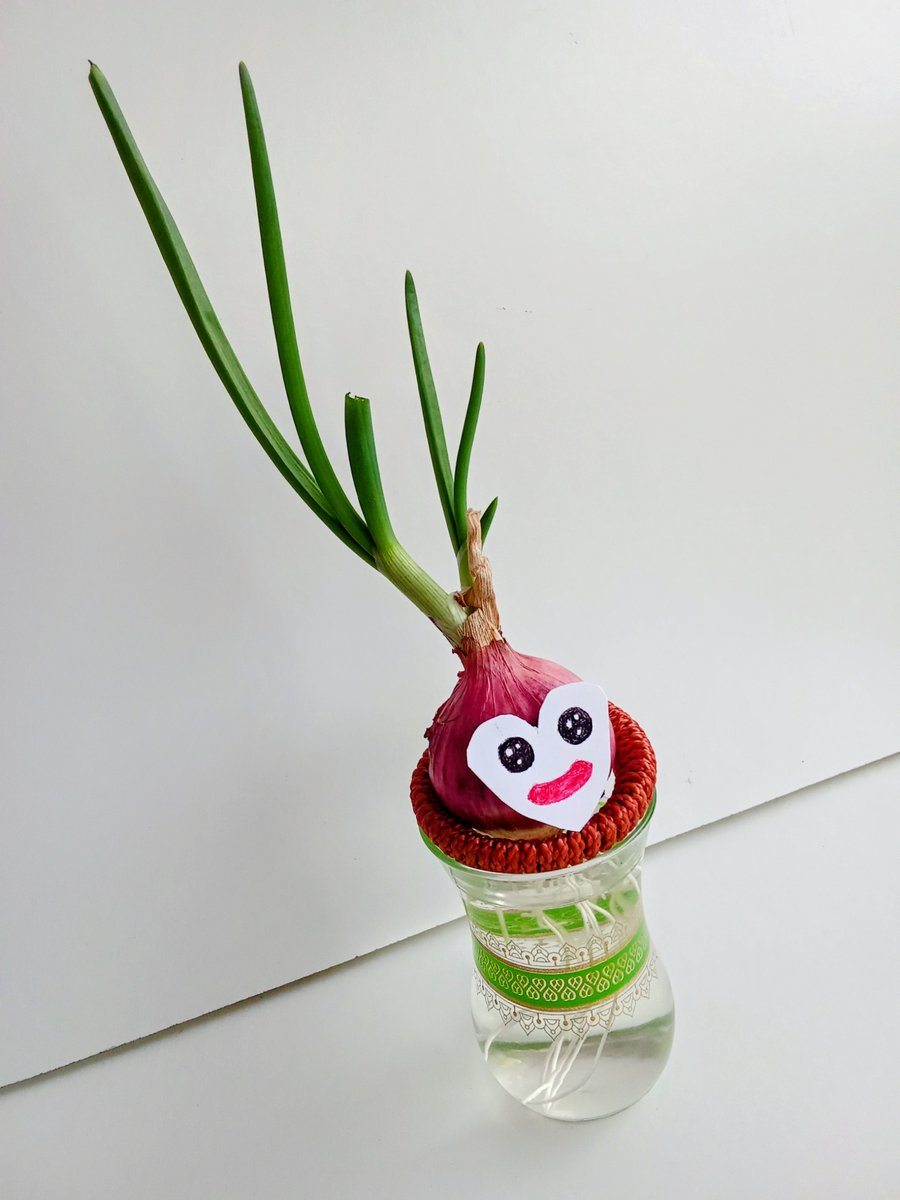 william71717's tweet photo. I may be just an onion...
But revolution often start small.
π§
π± #zonion https://t.co/XjZBeukAP5