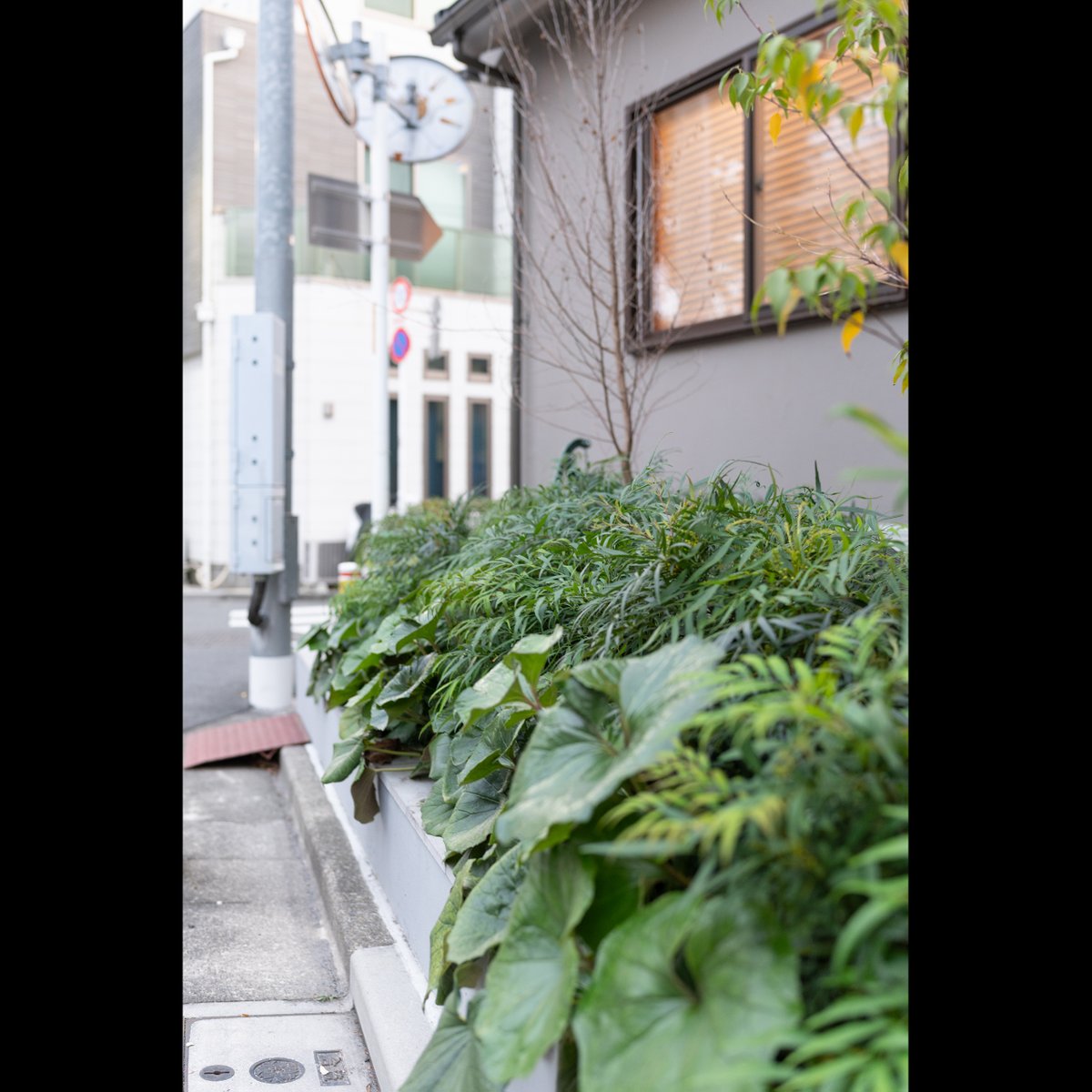 builtlogic's tweet photo. 【要町の改修設計】
井戸がありました。
そのままの雰囲気で残しています。
#改修設計 #タカキホーム #BUILTLOGIC #リノベーション #要町 https://t.co/5Q9nbNlKAl