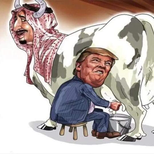 MAlmalky66's tweet photo. @a_s_vip1 @AL_Shara313 الحليب مرتفع سعرة صاير اعلى من النفط https://t.co/bhfZQFBrJQ