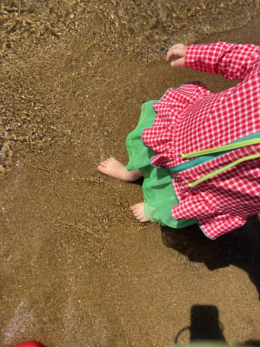 koch_and's tweet photo. 今日の調査は海🌊 https://t.co/ZoJACqhzPX