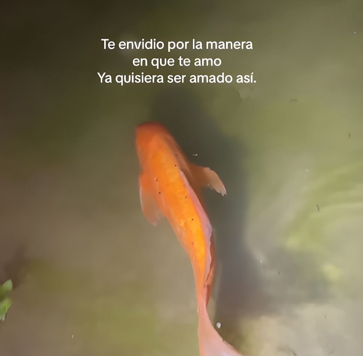 kloufrenx's tweet photo. https://t.co/sgKnO1ker6