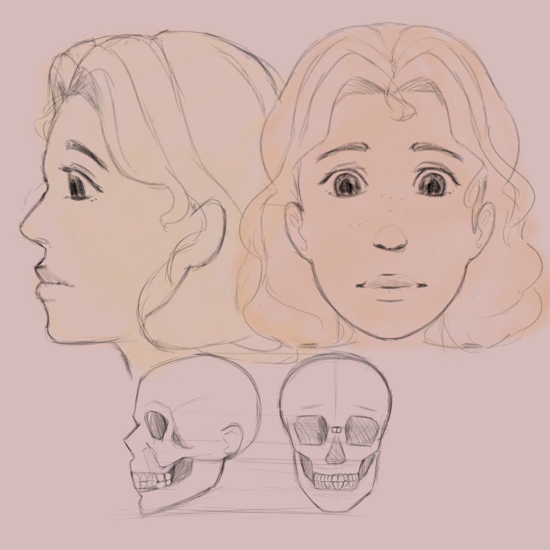 digiville716's tweet photo. What is wrong with it?
the face of the character, cant seem to figure out even after i made the skull structure beneath it. 

Someone said its not right.🤔
#studytwt #sketch #artㅤㅤㅤㅤ https://t.co/SZhKx2UZnC