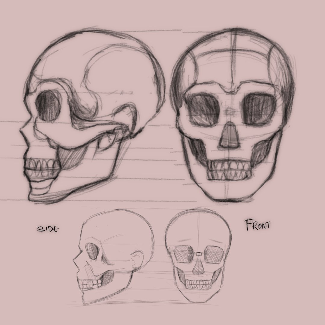 digiville716's tweet photo. What is wrong with it?
the face of the character, cant seem to figure out even after i made the skull structure beneath it. 

Someone said its not right.🤔
#studytwt #sketch #artㅤㅤㅤㅤ https://t.co/SZhKx2UZnC