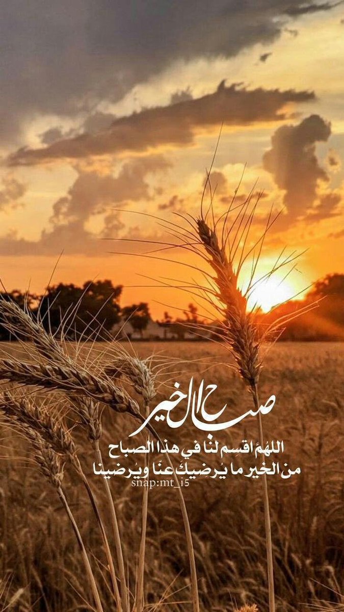 YLathzn's tweet photo. https://t.co/hzWmeZi0ei