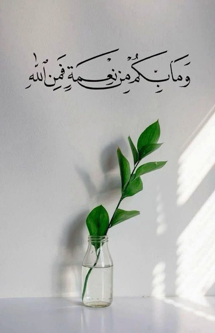 OcivJ's tweet photo. أسأل الله أن يحفظنا ويهب لنا من عرشه
عِزّا ومن خزائنه رزقا ومن نبيِّهِ شفاعة
ومن أعالي جنَّتهِ فُسحة ومقاما..
يا رب اجمعنا ووالدينا  وأحبابنا في دار لا يتغير جمالها ولا يفنى نعيمها ولا يبلى
حُسنها..

وصلِّ اللهم على سيدنا محمد وعلى آله 
وصحبه أجمعين.. https://t.co/0rVexCKC8Y