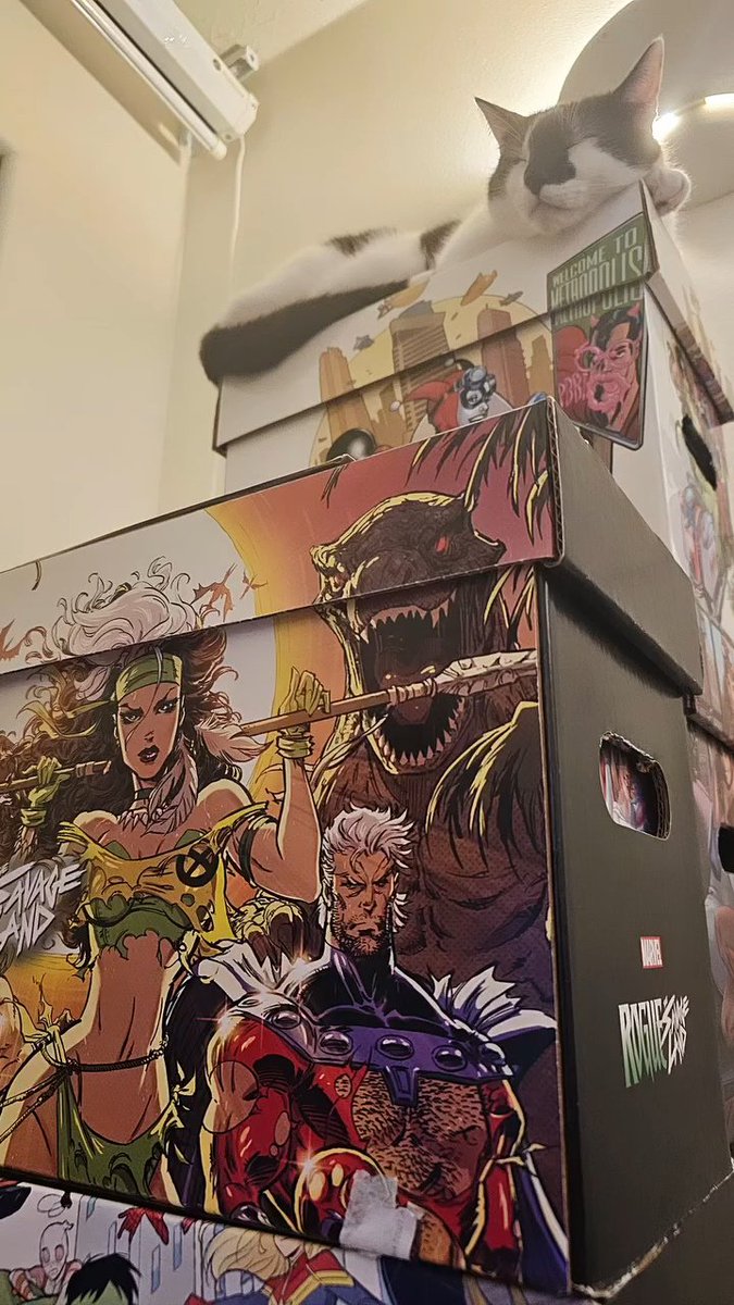 variantluna's tweet photo. protector of the comic books <3 https://t.co/Yy80HVoNbC