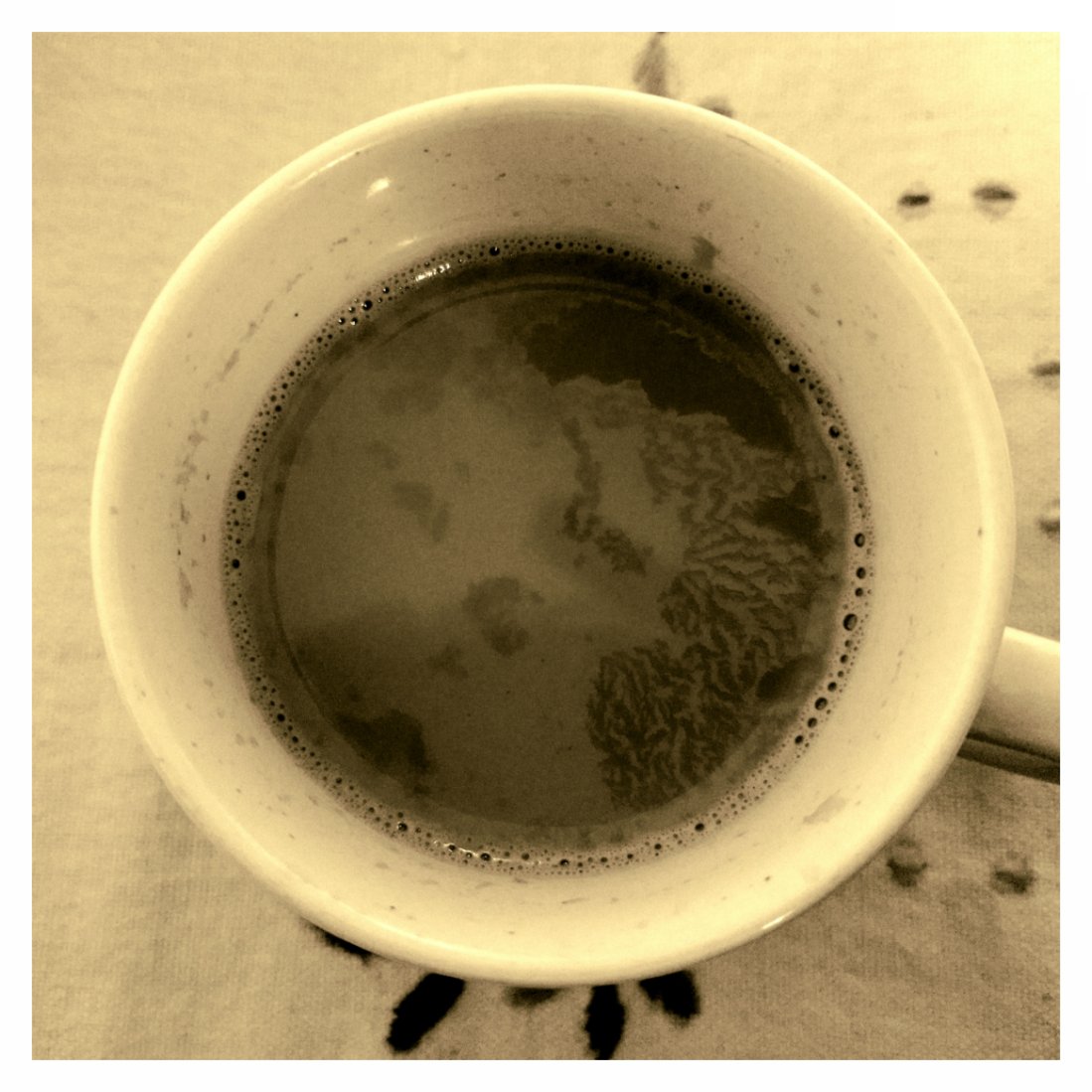 praetendent's tweet photo. mornin' https://t.co/QzmuRNegDc