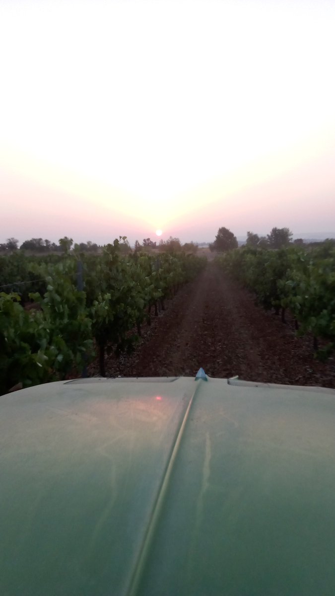 Maestro78Fj's tweet photo. #Amanecer en @DOCigales 
#Vino #Cultura #Tradicion
🍇🍇🚜🍷🍷 https://t.co/v25Ef2RCu6