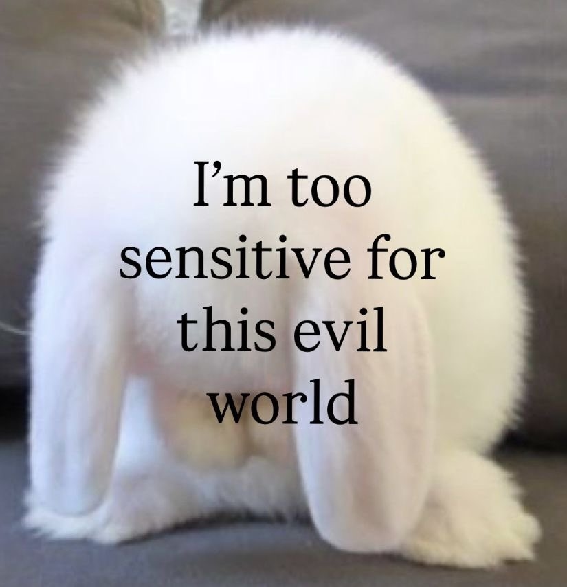 ceelune_'s tweet photo. https://t.co/0JNQCKjBFA
