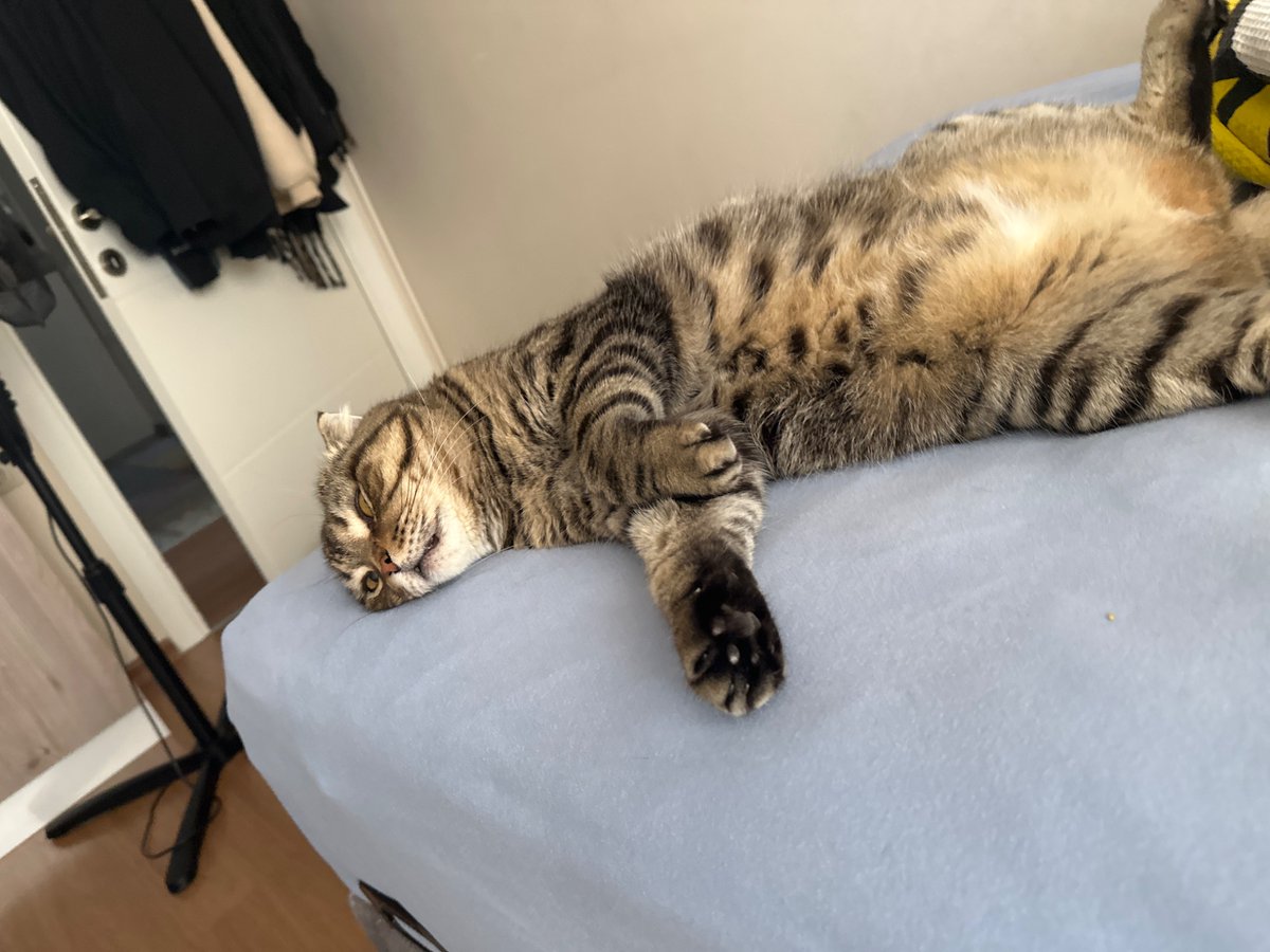 Kb_cheesecake's tweet photo. After I took this my tummy growled and he woke up I feel bad now https://t.co/IVipXOpIBf