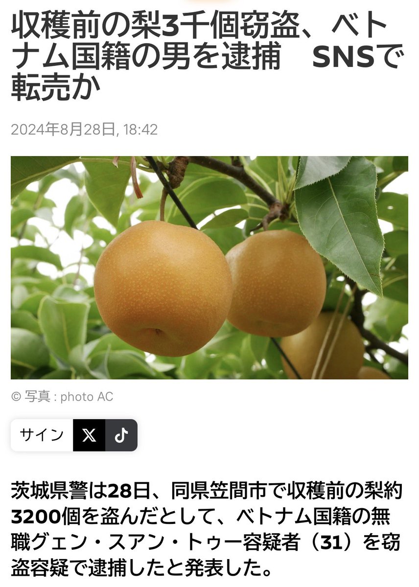 369CCCLXIX's tweet photo. @tourouken555 これ2024年の事件ですよ https://t.co/MqdrjRzohJ