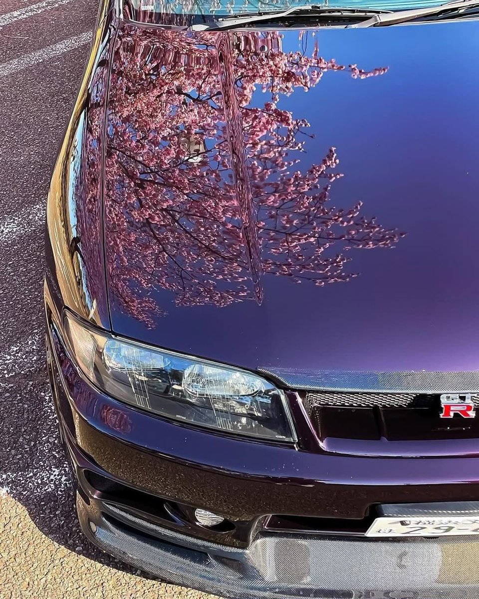sirali_6's tweet photo. Sakura’nın zarafetiyle çevrili bir Japon otomobili… Biri doğanın, diğeri mühendisliğin en güzel eserlerinden. Aynı ülkeden doğan iki efsane, tek karede buluşuyor. https://t.co/6wdo9OuxPa