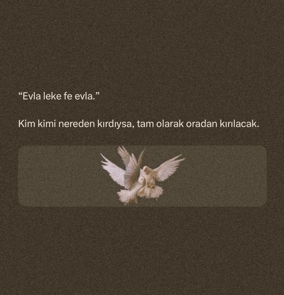 sevgilikendin's tweet photo. Evla leke fe evla https://t.co/10rWKn1AJu