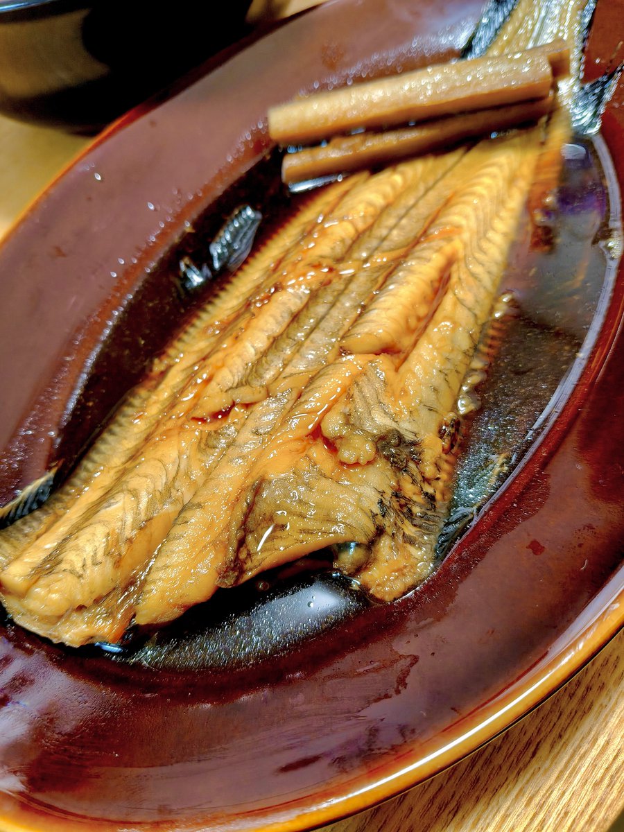 TTdokusin's tweet photo. 昨日久々に釣り行ってみた！
のんびり昼前に家を出て、昼過ぎから開始！

頭上のトンビに気をつけながら焼き鳥食べたり、捨てられてた釣り糸拾ったりしてたらそこそこ立派なシタビラメ釣れた！

急な雨で1時間くらいしか釣りできなかったけど楽しかった！ https://t.co/nYN8pLisU5