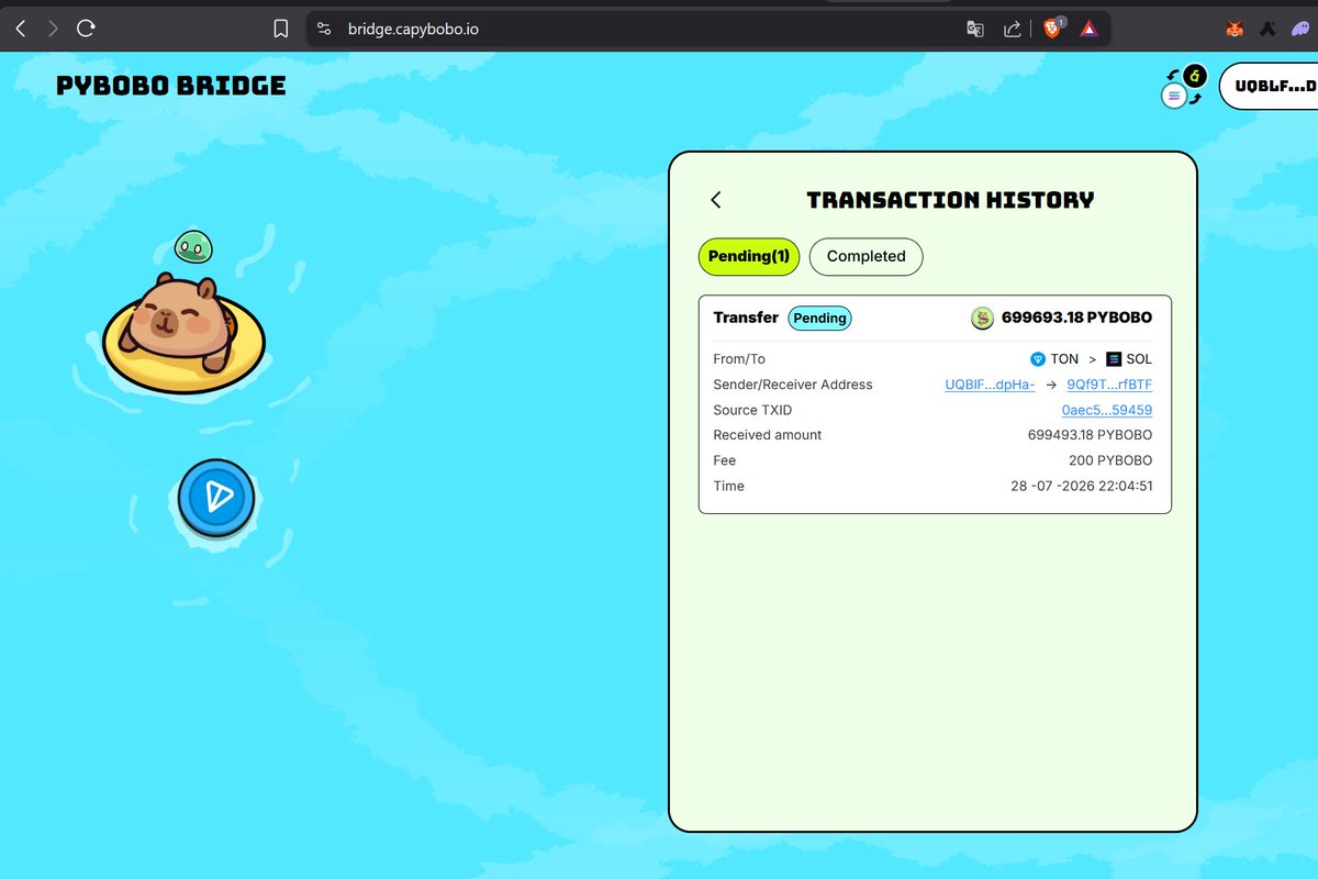 joachimair's tweet photo. @Capybobo_io WHAT HAPPEN MORE THAN 16H THAN MY MONEY IS LOCK ON THE BRIDGE ? TEAM DOESNT DO ANYTHING ????? PLEASE REFUND ME OR SOLVE THE ISSUE https://t.co/mVxLuUQy6x