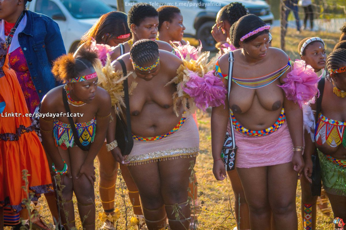 africa_herald's tweet photo. uMemulo is a beautiful Zulu traditional ceremony that honours a young womanโs journey, upbringing, dignity, and cultural identity. ๐ฟโจ
It is a celebration of family, respect, womanhood, blessings, and heritage passed from one generation to another.
#uMemulo #ZuluCulture #AfricanHeritage #PaydayAfrica
