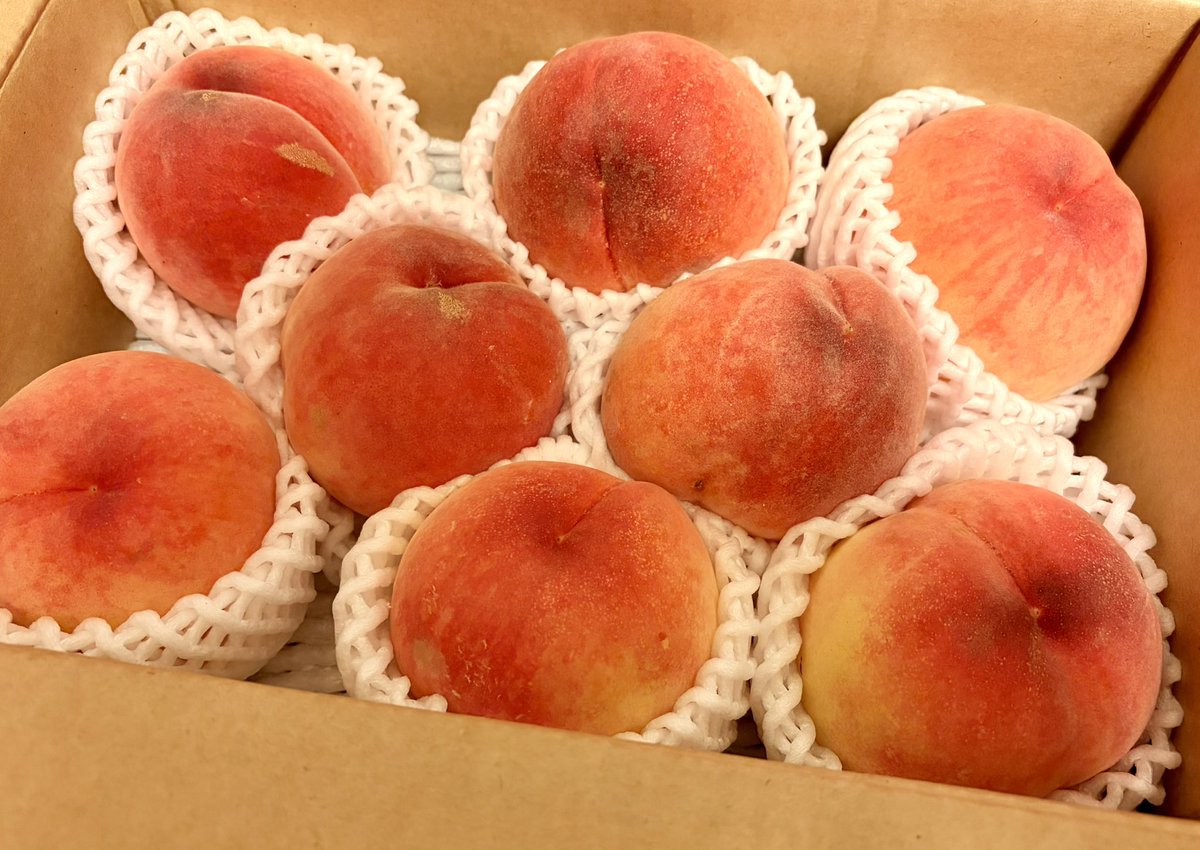 ssliql's tweet photo. 福島の桃🍑
今年も我が家にやってきました✨😋
あかつき✨ https://t.co/hLv9kWHT1n