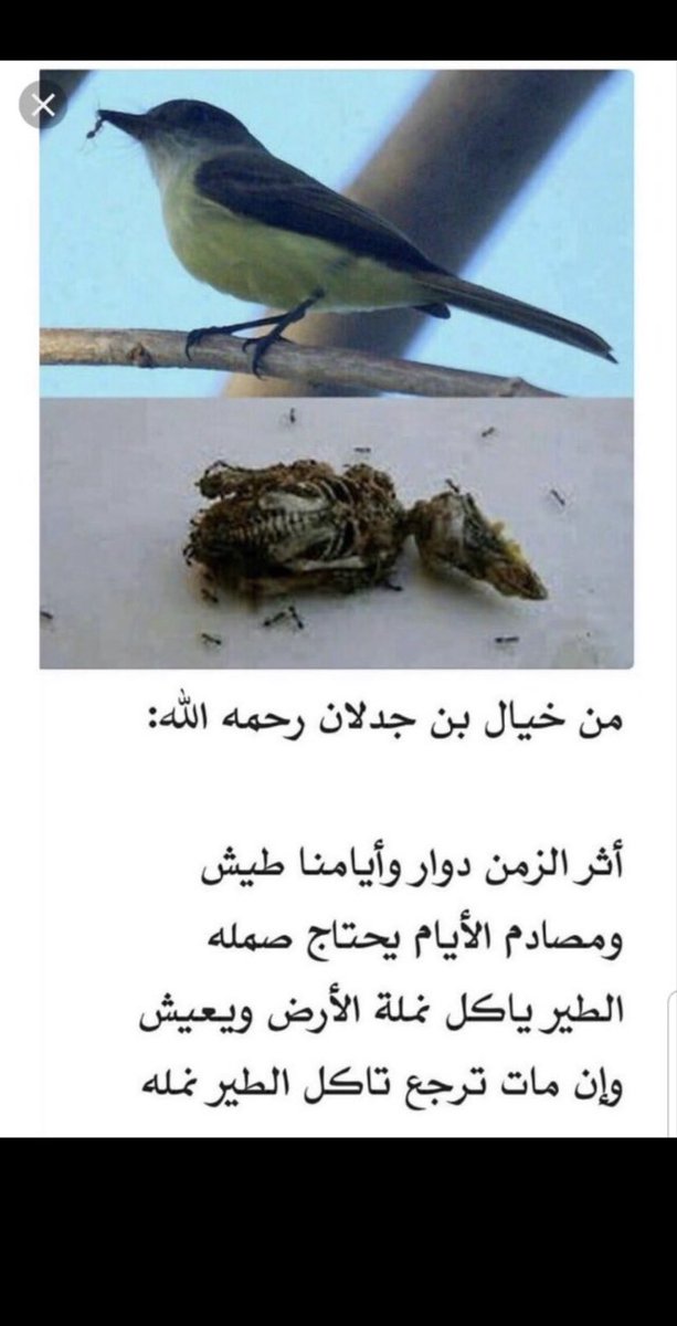 omajbpb's tweet photo. #سعد_بن_جدلان

من خيال بن جدلان رحمه الله::

أثر الزمن دوار وايامنا طيش
ومصادم الأيام يحتاج صمله

الطير ياكل نملة الأرض ويعيش
وإن مات ترجع تأكل الطير نمله

الله يرحم بن جدلان تصوير واقعي لحال الحال ومنتهى الحياة https://t.co/EWuVTZodwt