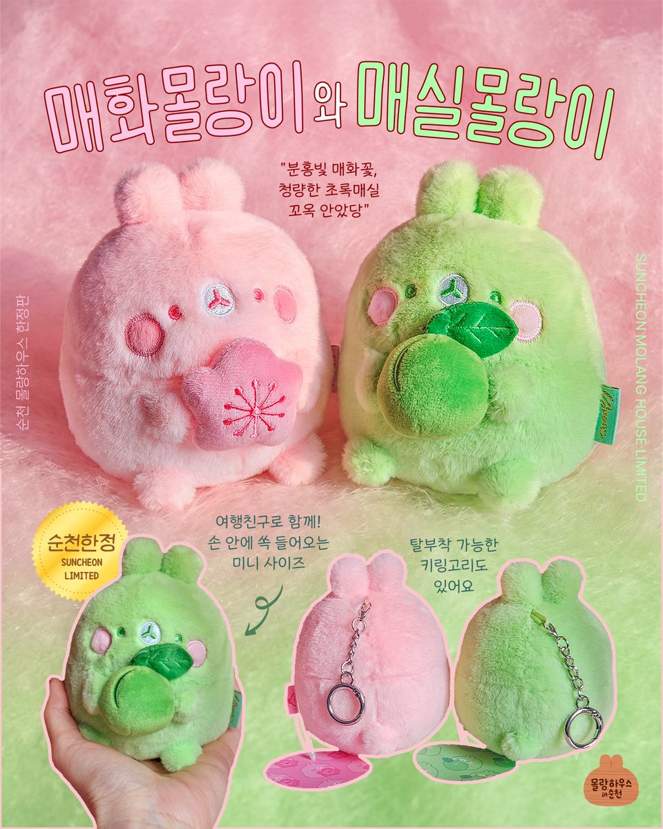 molang2010's tweet photo. 순천 몰랑하우스에서만 만날 수 있는 매화몰랑이, 매실몰랑이!
이제 막 도착한 따끈따끈한 신상🩷💚
홍매화로 가득한 순천의 탐매마을 봄풍경, 할머니댁에서 여름마다 보내주시는 순천의 새콤한 연두빛 매실을 테마로 디자인했어요. 
미니 몰랑이 인형 시리즈의 순천 한정판 버젼은 항상 300마리씩만 들여옵니다. (재입고 없음!)
‼️실물은 더 쨍하게 채도가 높아요‼️
*미니몰랑이 일반색감 버젼은 8월말에서 9월초에 일반유통으로 들어옵니다