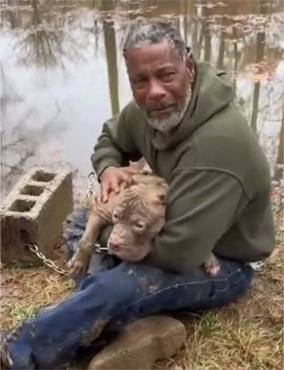 iyashichannel_'s tweet photo. 【釣りに来た男性、沼に沈められた犬を決死の救出】
︎
毎週末、心を落ち着かせるため小川で釣りをしていたサミュエルさん。釣り針に餌を付けていたところ、橋の上に止まったトラックから、男がコンクリートブロックを投げ捨てる場面を目撃した。
︎
しかし、そのブロックには鎖でつながれた犬がいた。犬はそのまま水中へ引きずり込まれ、トラックは逃走。
︎
サミュエルさんは迷わず泥の斜面を下り、冷たい沼へ胸まで入り、手探りで鎖とブロックを発見。全力で引き上げ、息も絶え絶えだった犬を岸へ救出した。
︎
救われたピットブルは泥だらけで震えていたものの、抵抗することなくサミュエルさんの膝に身を寄せたという。
︎
警察に被害届を提出したが、車にはナンバープレートがなく、犯人は見つかっていない。
︎
犬は「チャンス」と名付けられ、その日からサミュエルさんの家族に。現在は毎晩、彼のベッドの足元で安心して眠っている。