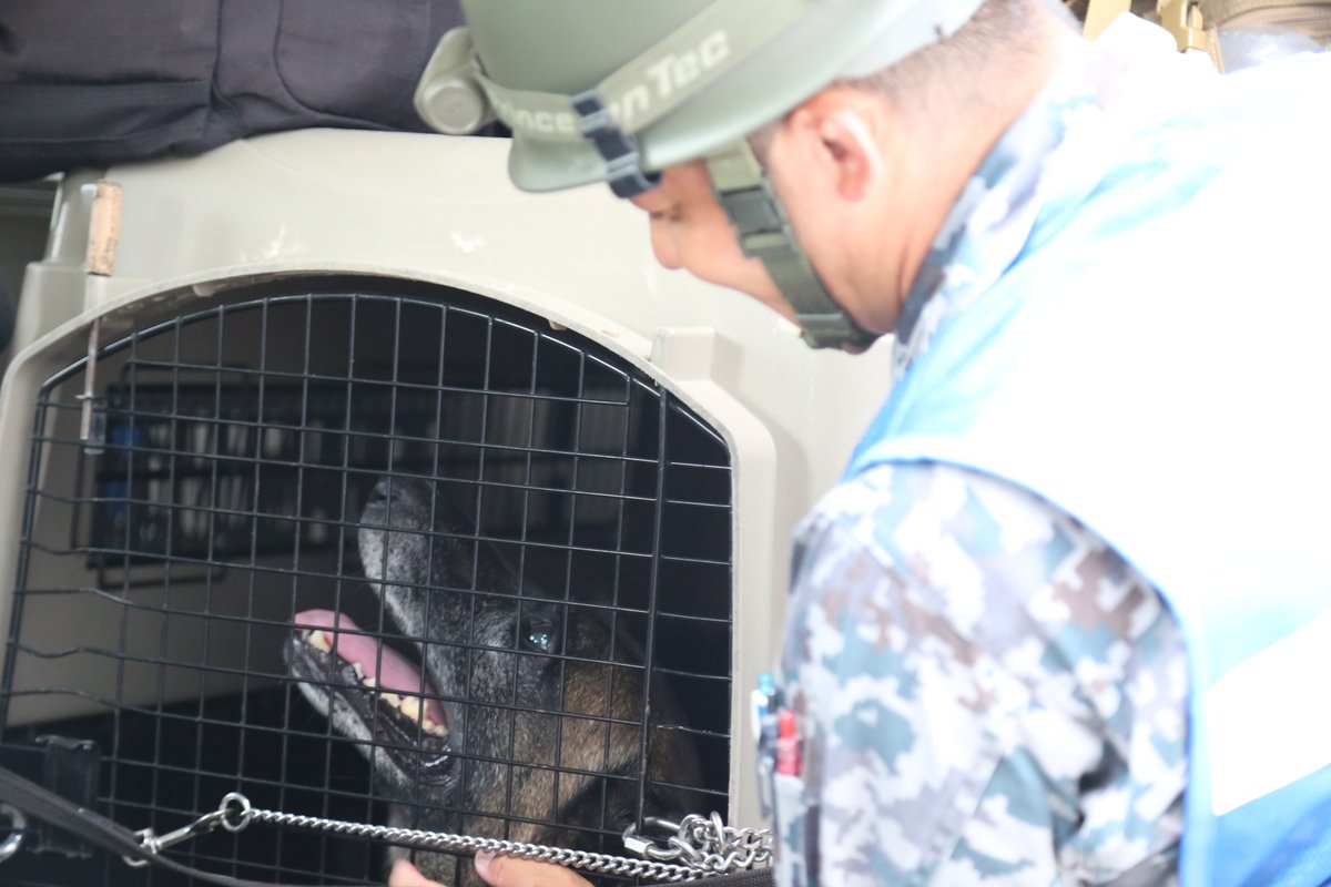 jasdf_tsuiki's tweet photo. この度の「令和8年熊本地震」により被災された皆様に、心よりお見舞い申し上げます。
築城基地は、発災直後より即応態勢を取り、基地所属機が被災地上空の情報収集飛行を行うとともに、関係部隊が災害派遣活動のために被災地へ出発しております。

同じ九州にある基地として、被災地に全力で寄り添い活動
してまいります。

#航空自衛隊 #築城基地