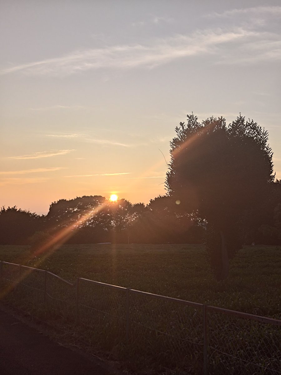 guncyo's tweet photo. やっと今迄撮りたかった写真が撮れた気がするฅ'ω'ฅ
でも、まだなにか違う気がする…(´･ω･`)

何かが足りない… https://t.co/BMTnHzG1WO