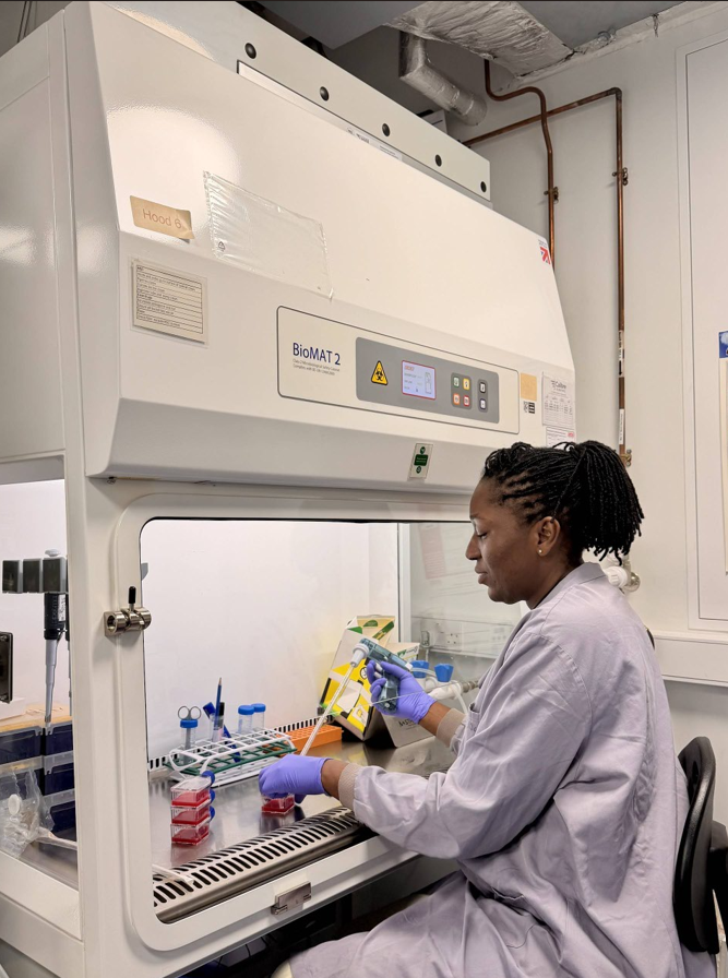 MARCAD7's tweet photo. Ndey Fatou Drammeh, #MARCADPlus PhD fellow, is currently undertaking advanced training in CRISPR/Cas9 gene editing of Plasmodium falciparum in the Moon Lab at @LSHTM as part of her PhD work on Plasmodium falciparum experimental genetics. 
#malaria #MalariaResearch #EndMalaria https://t.co/kYImc8gSuT