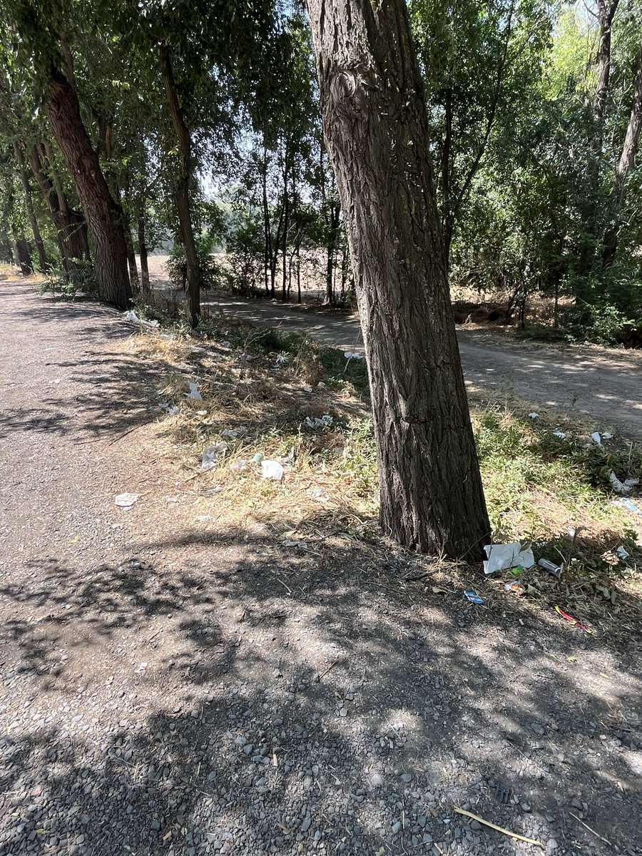 MinierNicolas's tweet photo. Avant de parler de réchauffement climatique !!
Éduquez vous bandes de porcs 😡🤬🤮 https://t.co/78RC8W9x4w