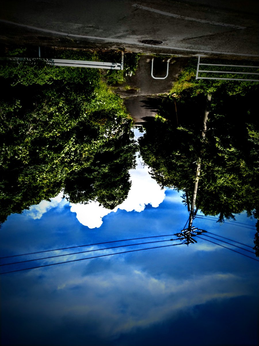 kaaban9's tweet photo. 彼女は水溜まりに寝転がった……じんわり……

背中の一部を除いて……溜まり水が滲みる……

水溜まりの空よりも……目に映る空は低い……

喉奥が疼く渇く……堪らず溜まり水を啜る……

ああ、お薬の時間だ…… https://t.co/Yk0ogS4eBC