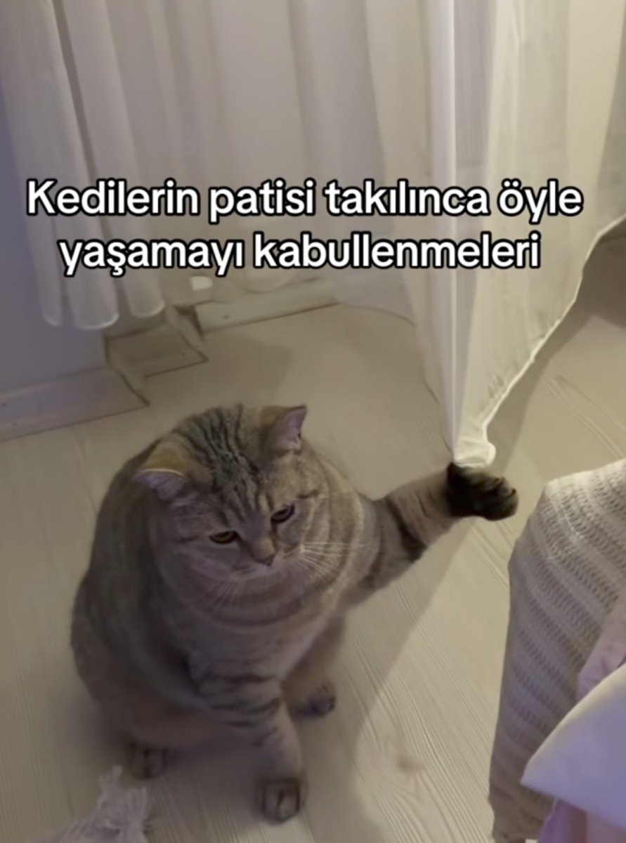 anlikmod's tweet photo. https://t.co/rtEywCu8MY
