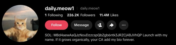 OhGeesyNFA's tweet photo. This should be giga, one of the biggest cat meme pages has posted a Solana wallet after countless attempts to be onboarded!

His videos have gained hundreds of millions of views!
He asks for a coin to be deployed and grow organically!

The cat meme in his pfp is the "selfie cat" which has never ran despite being a super viral meme

sending fees to his wallet lets run it Bw491naruTXSsXuXUYao3eqXDoCAPFM42Yez82NGqZnx

https://t.co/ny6016OfmE