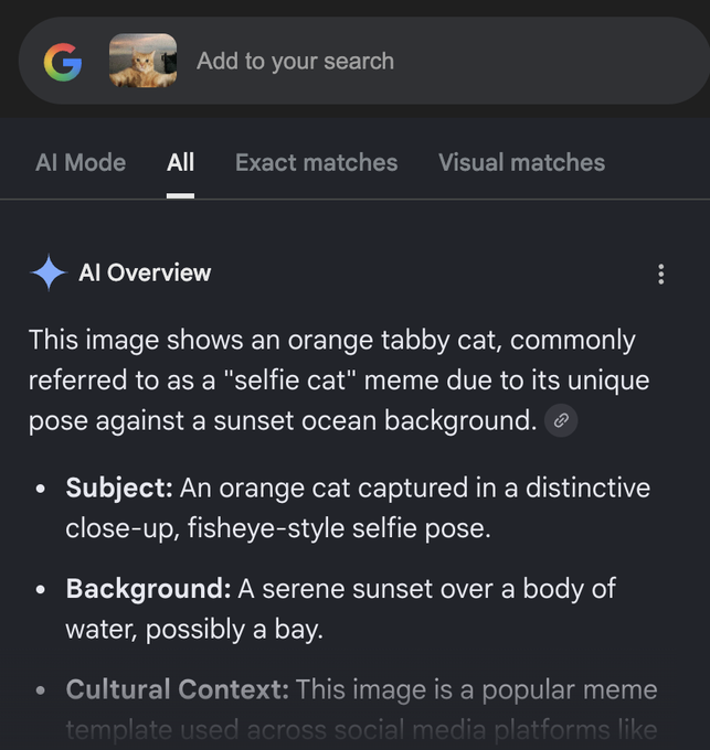 OhGeesyNFA's tweet photo. This should be giga, one of the biggest cat meme pages has posted a Solana wallet after countless attempts to be onboarded!

His videos have gained hundreds of millions of views!
He asks for a coin to be deployed and grow organically!

The cat meme in his pfp is the "selfie cat" which has never ran despite being a super viral meme

sending fees to his wallet lets run it Bw491naruTXSsXuXUYao3eqXDoCAPFM42Yez82NGqZnx

https://t.co/ny6016OfmE