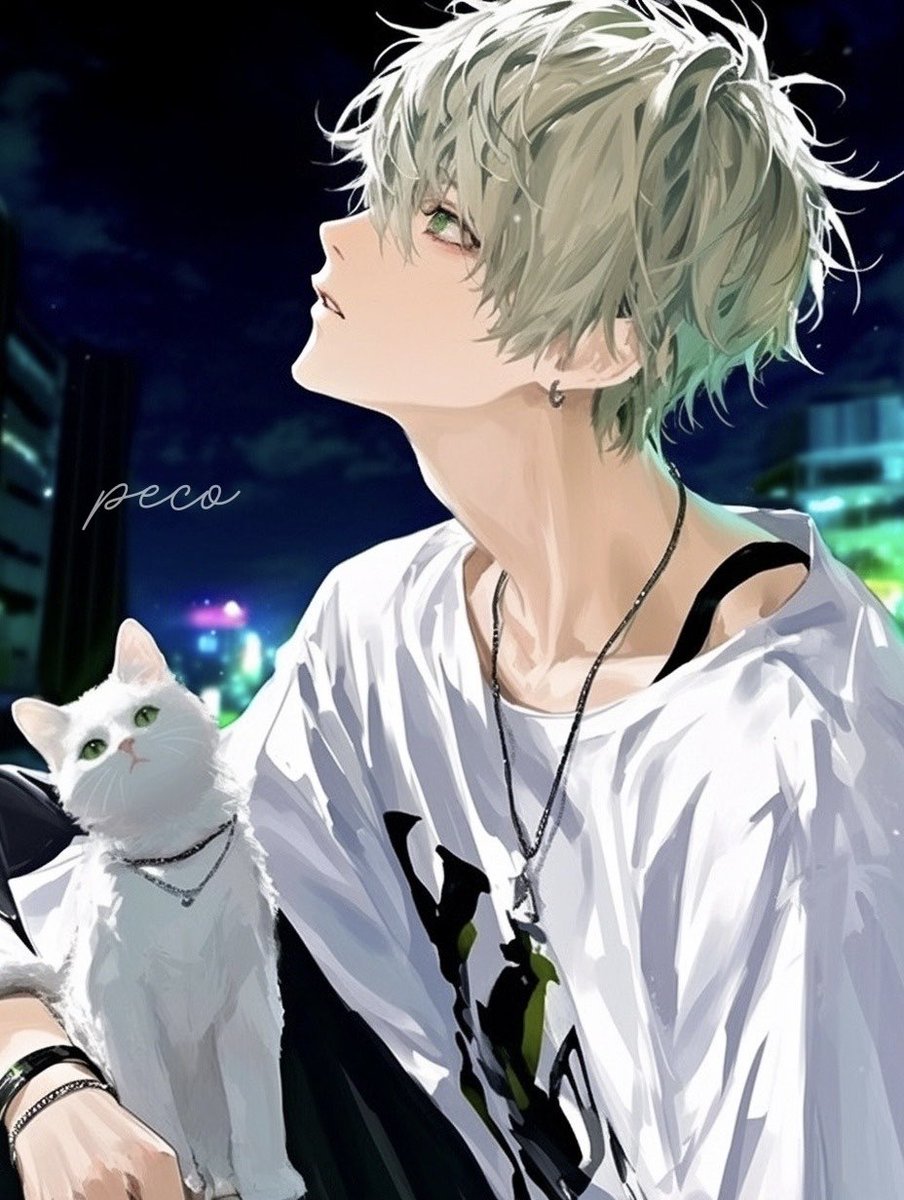 peco (@necomaru999) / Posts / X