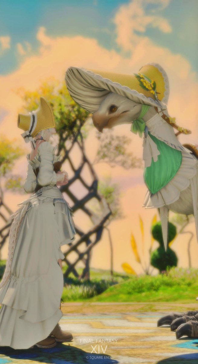 Botan0423's tweet photo. ピクニック・バード

#FF14 #アウラ https://t.co/pJ7Egl75Kt