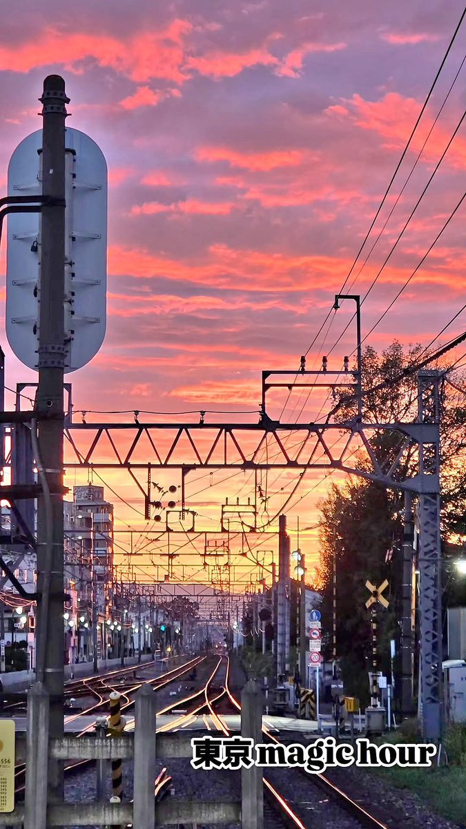 yhappyu's tweet photo. #東京 magic hour
#ドリカム https://t.co/MyxqCUU4IT