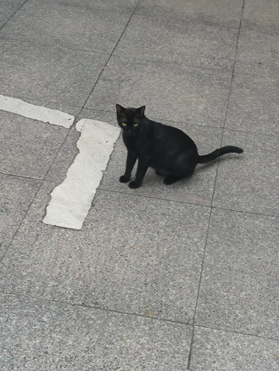 tisso7891's tweet photo. 邵文我恨你，原本现在我应该在电影院看蜘蛛侠的新电影的，而不是在这里画速写 https://t.co/lk38fTiJXJ