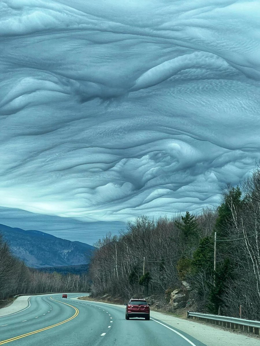 AMAZlNGNATURE's tweet photo. Asperitas clouds look like a Van Gogh painting in the sky

These dramatic wave-like formations are known as Asperitas clouds, a rare cloud pattern recognized for their rough, turbulent appearance that can make the sky look like a painted masterpiece https://t.co/8esdlUEqpY