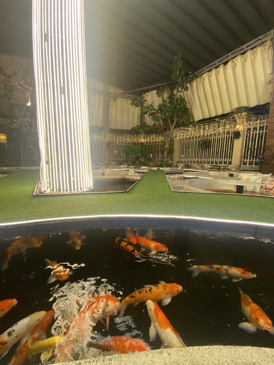 SoldiersExpense's tweet photo. There's so many fishes around me heLp https://t.co/Sexcws79jI