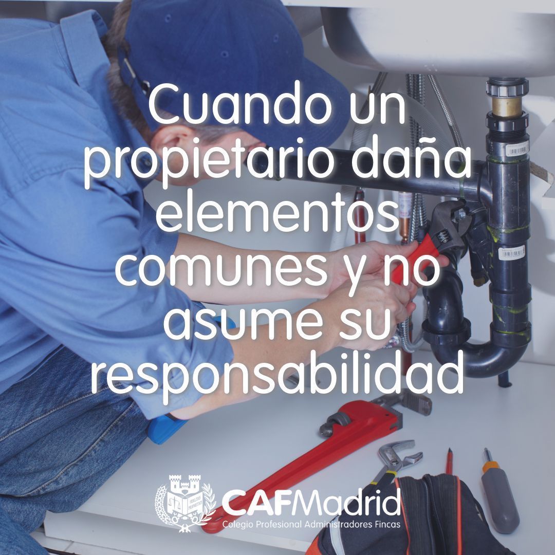 CAFMadrid's tweet photo. 🏢💧⚠️ Cuando un propietario daña elementos comunes y no asume su responsabilidad.

Las filtraciones, humedades e inundaciones son una de las principales causas de conflicto en la Propiedad Horizontal. Pero la situación se vuelve verdaderamente compleja para un administrador de fincas cuando el origen está en una vivienda particular y el propietario se niega a reparar los desperfectos de las zonas comunes.

¿Hasta dónde llega la responsabilidad del vecino? ¿Qué ocurre si la inacción agrava los daños estructurales o la salubridad del edificio?

Retrasar la intervención no solo dispara los costes económicos, sino que deteriora gravemente la convivencia vecinal. Ante una negativa prolongada, las comunidades de propietarios no están desprotegidas y disponen de herramientas clave para actuar:

🔹 El valor probatorio del requerimiento formal.
🔹 La ejecución subsidiaria por urgencia: cuándo puede reparar la comunidad.
🔹 La vía de la reclamación judicial y la jurisprudencia ante los daños por omisión.

Analizamos el protocolo de actuación paso a paso y las mejores vías para resolver estos conflictos sin necesidad de prolongar los litigios en nuestro último artículo de blog de SoluciónAF.

👇  ¡Lee y comparte!
https://t.co/gUmLlHYfYx 

#SoluciónAF #CAFMadrid #PropiedadHorizontal #GestiónDeConflictos #Humedades #LPH #AFColegiados