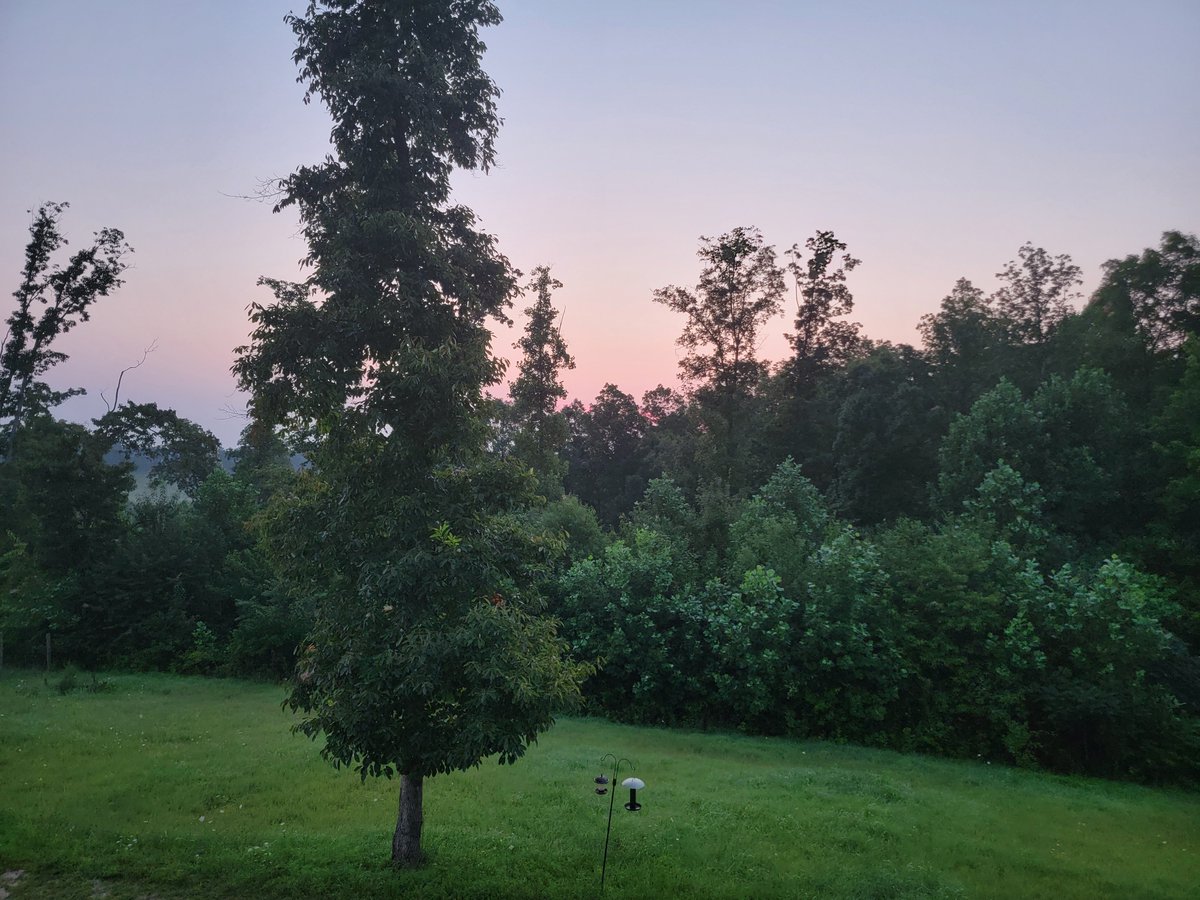 CraigFlath17407's tweet photo. Beautiful beginning for today in Tennessee. G'mornin y'all. https://t.co/gxONcDwRvw