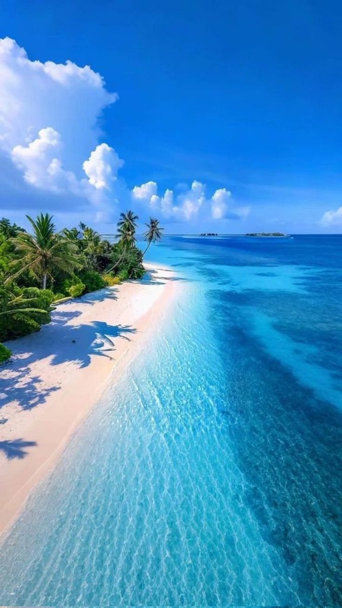 natureclassics5's tweet photo. Maldives 🇲🇻🏝️ https://t.co/uNulqf4rnn