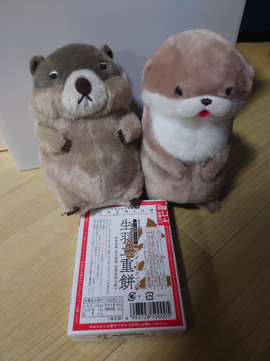 XYZ__48's tweet photo. #カワウソうそやん
#マーモットのもっとっと
#ぬい撮り
#ぬい活

美味しそうな物が売ってたので買いました！
モチモチなお餅でした！
(これやってみたかった🤫)
仲良くできないかなー笑 https://t.co/iQrPvnobKG