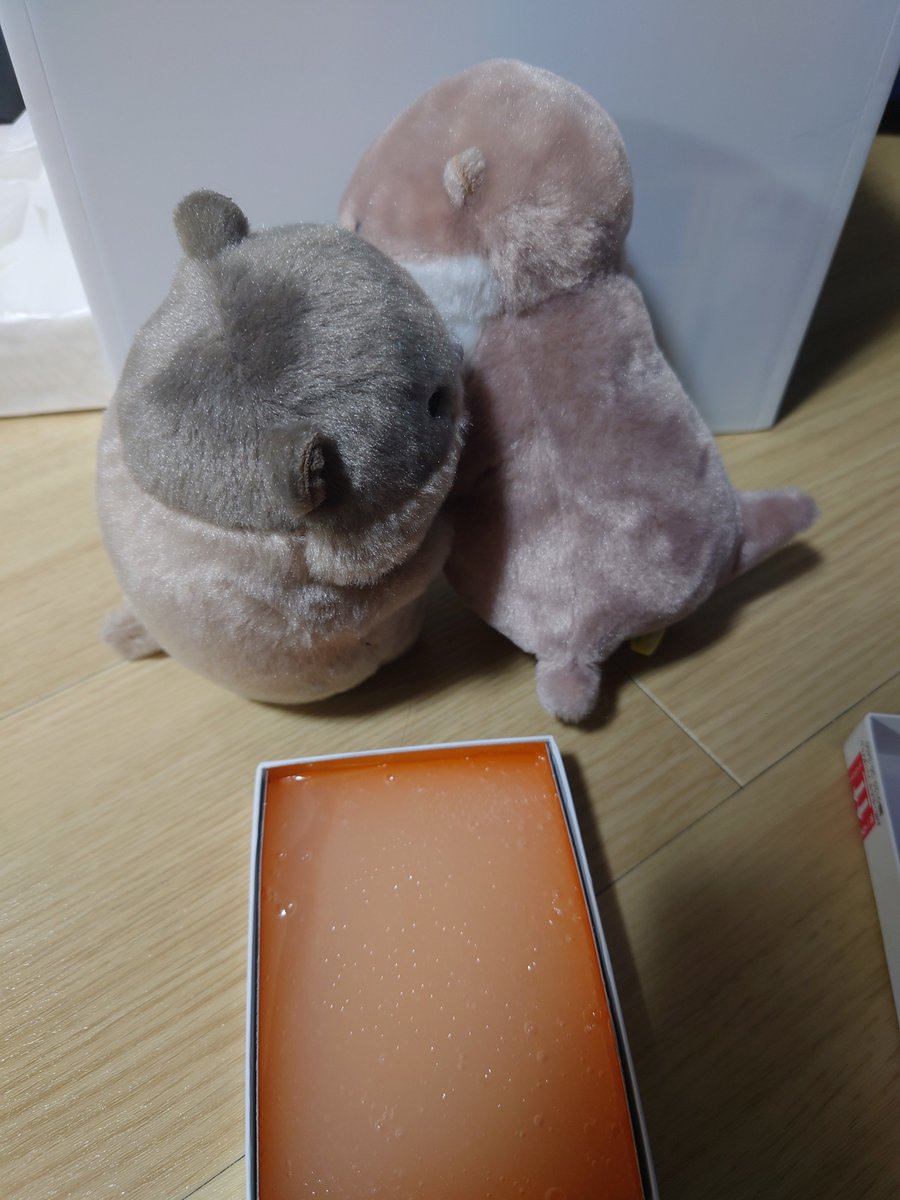 XYZ__48's tweet photo. #カワウソうそやん
#マーモットのもっとっと
#ぬい撮り
#ぬい活

美味しそうな物が売ってたので買いました！
モチモチなお餅でした！
(これやってみたかった🤫)
仲良くできないかなー笑 https://t.co/iQrPvnobKG