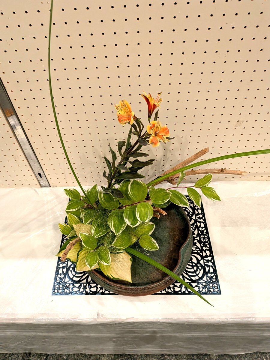 FireballNogi's tweet photo. 夏の花展は自然本位系を擦り続けることにした。
今回の主役は鳴子百合。 https://t.co/cmTSjco6ow