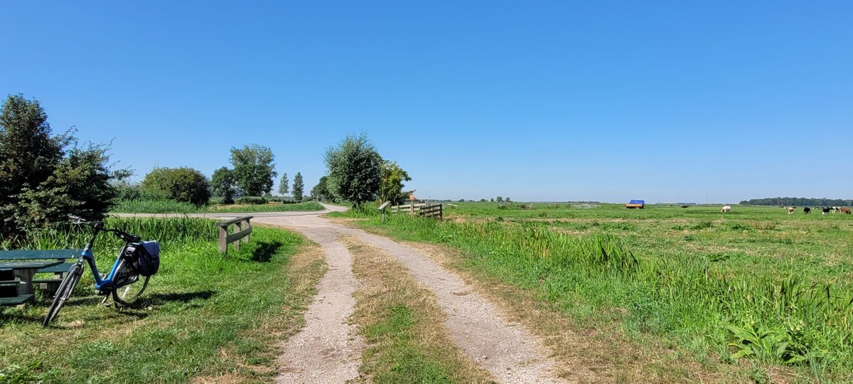 johan_klos's tweet photo. Goedemiddag nog maar een rondje op de #fiets voor het vanmiddag #warm wordt langs de #Lek en bij #donkselaagte #weerfoto https://t.co/aMgPPPQDvG