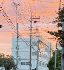 Yumin523's tweet photo. 最近あったハッピーなできごと✨

暑い日が続いて、今日もようやく夕方ワンコのお散歩に行けました🐶

そしたら…
母校(小学校)と夕焼けの景色が
すごくきれいでHAPPYな気持ちになりました😊

#mctv182 https://t.co/5a88b5bsie