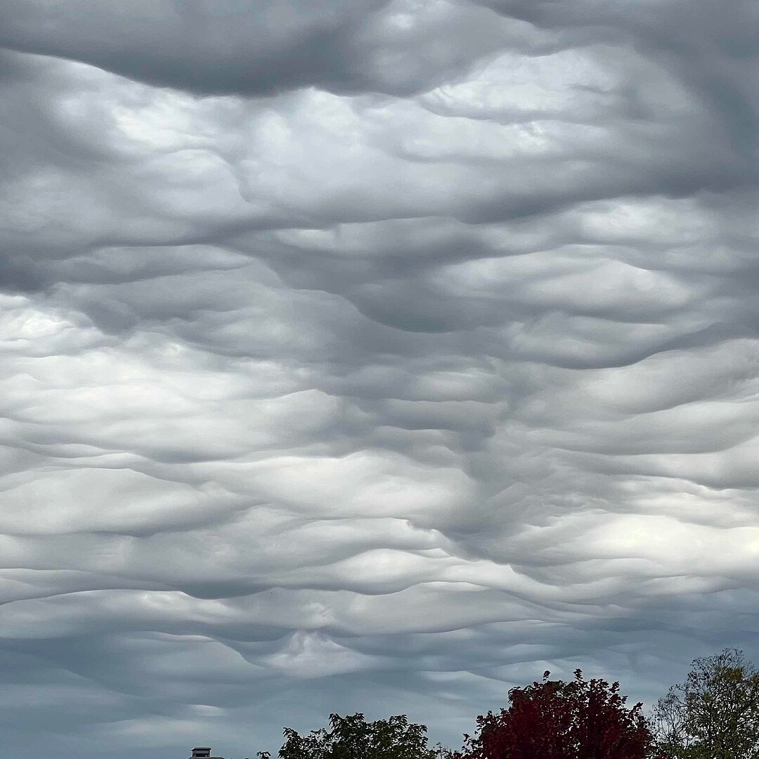 AMAZlNGNATURE's tweet photo. Asperitas clouds look like a Van Gogh painting in the sky

These dramatic wave-like formations are known as Asperitas clouds, a rare cloud pattern recognized for their rough, turbulent appearance that can make the sky look like a painted masterpiece https://t.co/8esdlUEqpY